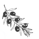 Ventolini