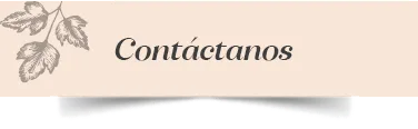 Ventolini